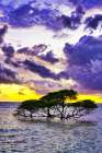 Gili Trawangan Island off the coast of Lombok-Indonesia White sand-clear warm water Coastal Print
